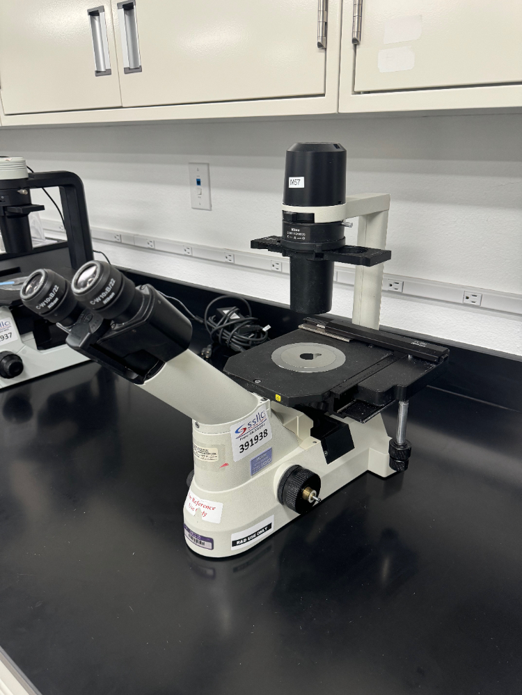 Image of Nikon Eclipse TS100 Inverted Microscope